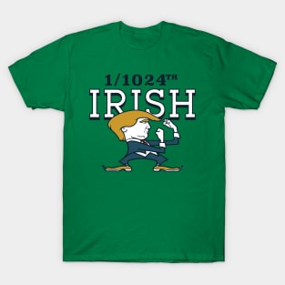 1/1024th Irish T-Shirt